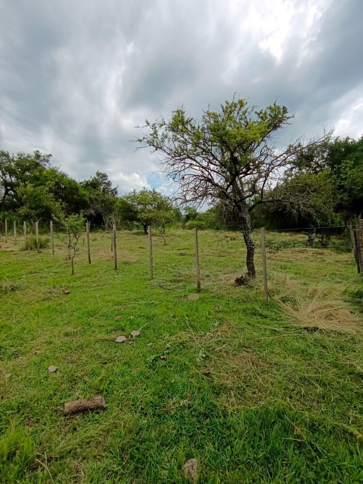 4 Terrenos en venta El Parador de la Montaña 