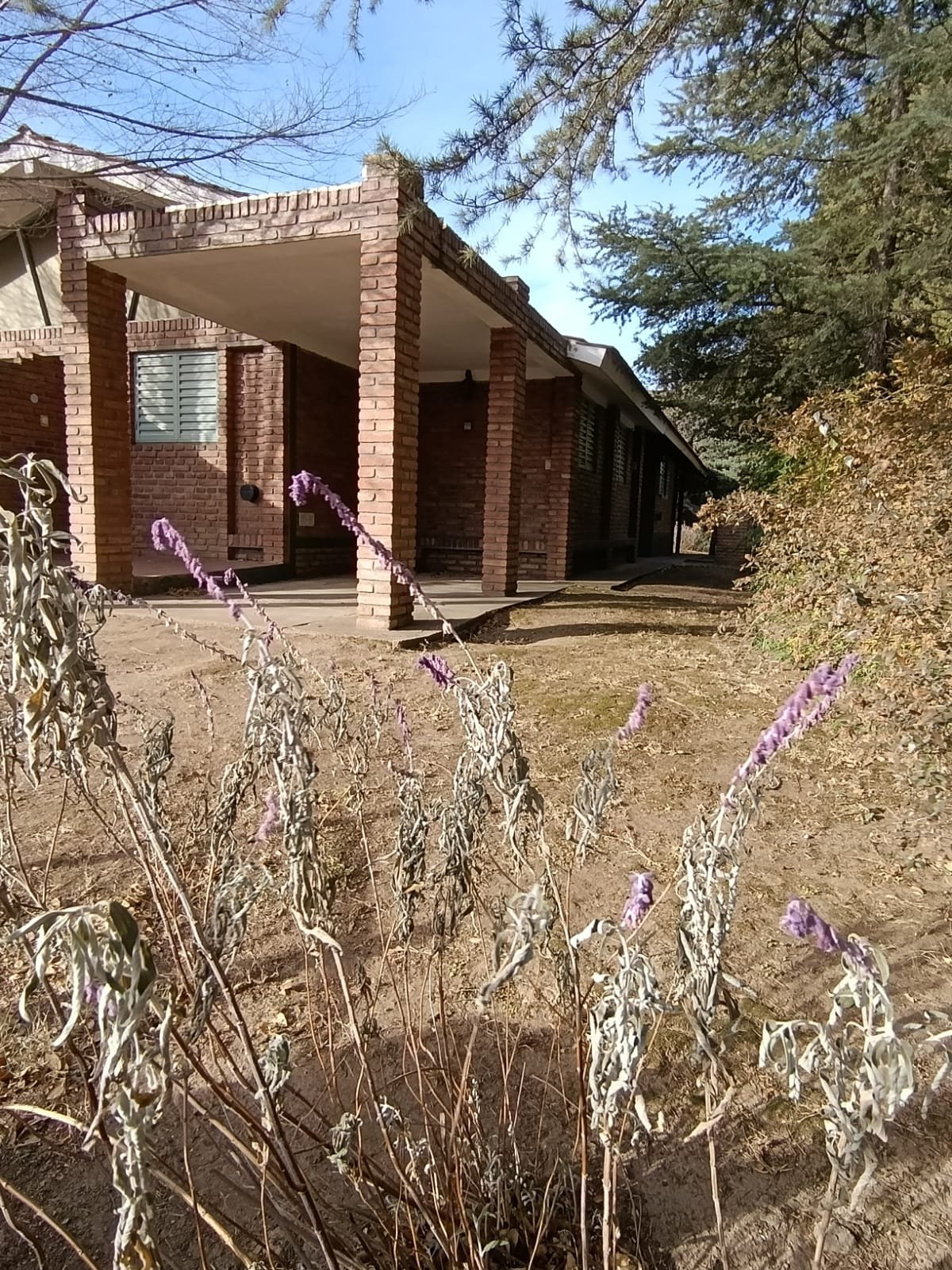 Complejo de 4 cabañas en venta Santa Rosa de Calamuchita