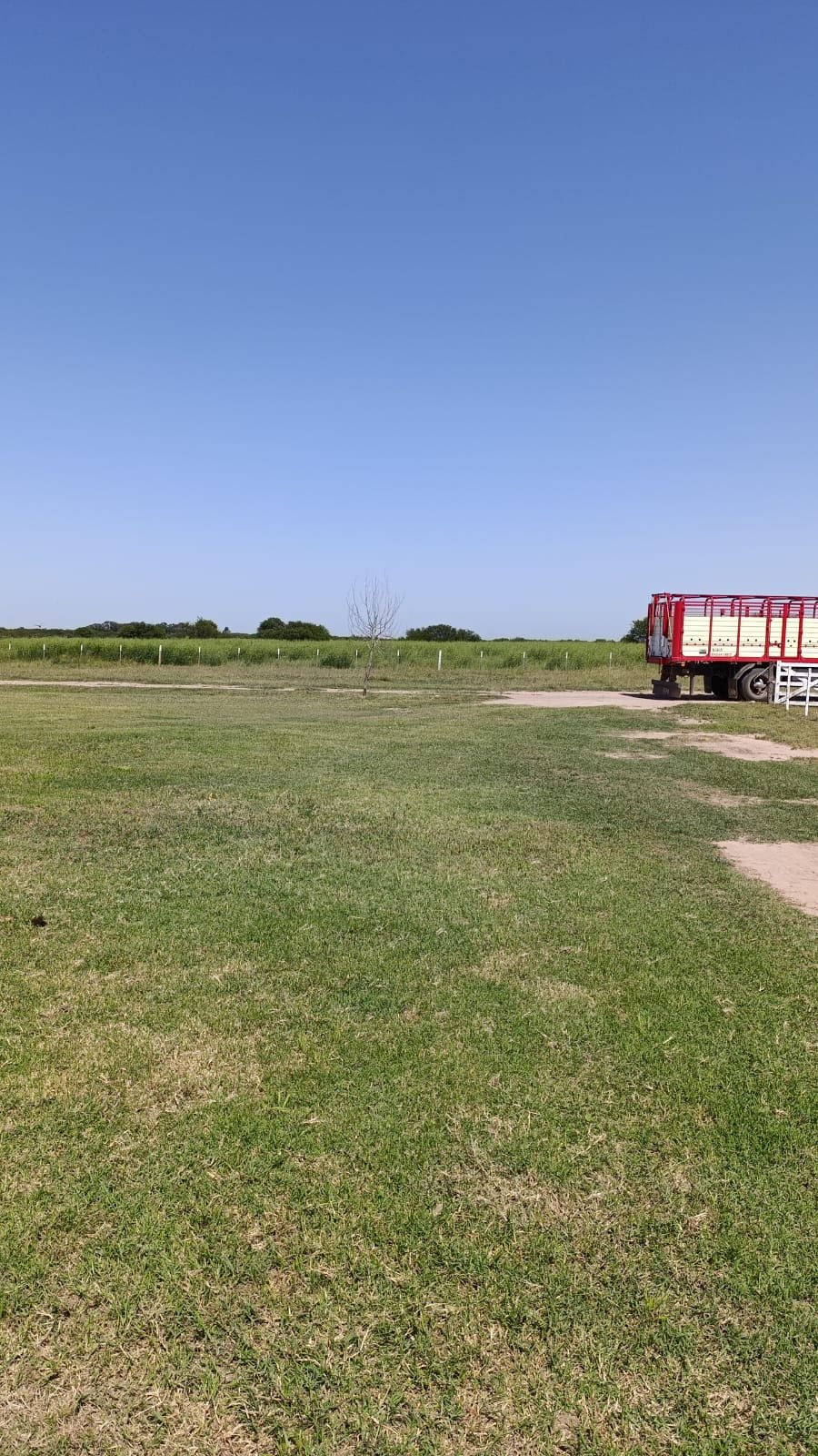 Granja en venta Chilibroste