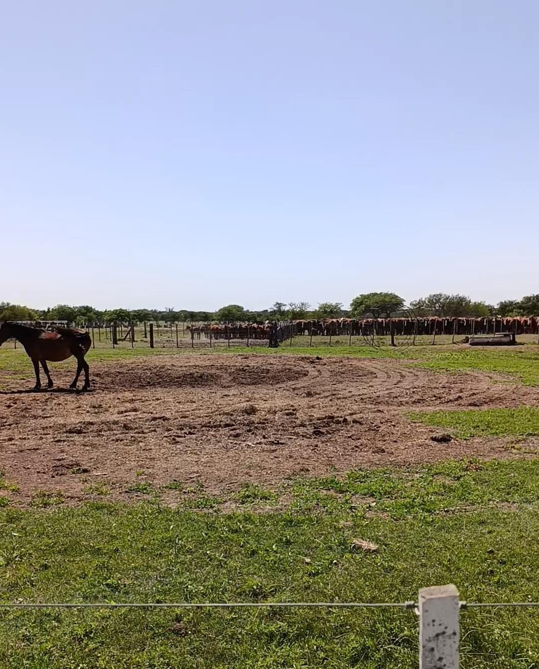 Granja en venta Chilibroste