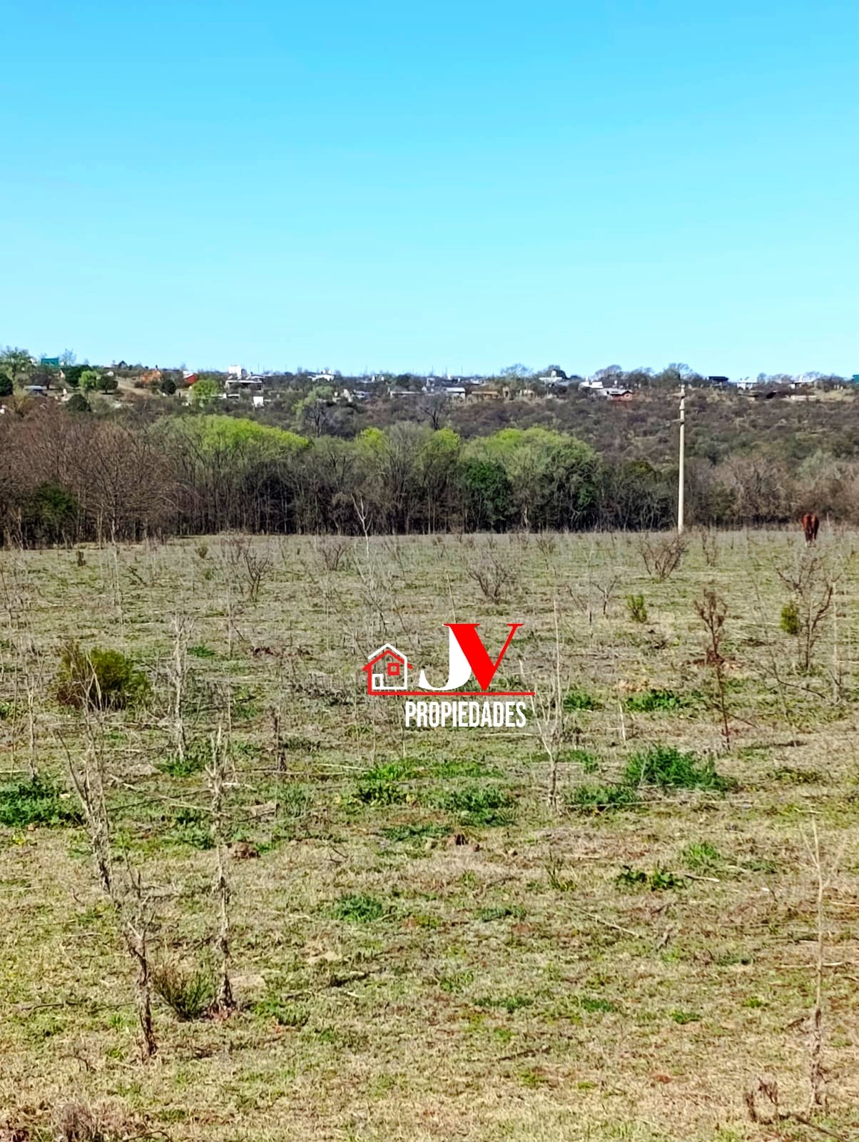 8 Hectáreas en venta Amboy 