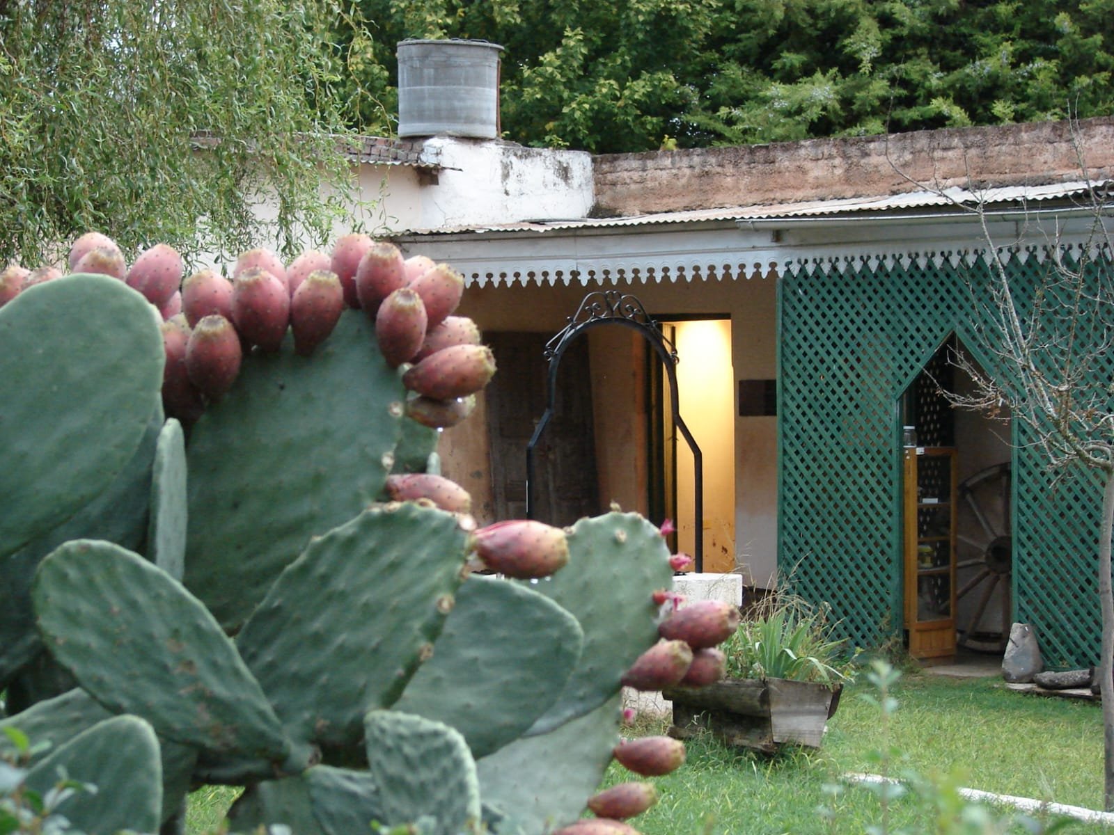 Naturaleza en Amboy