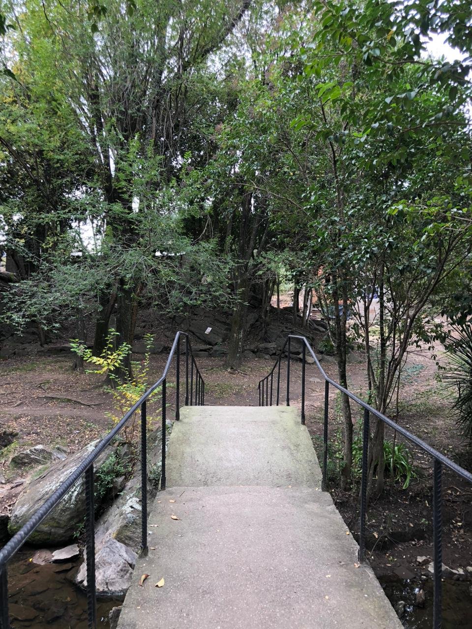 Río de los Sauces