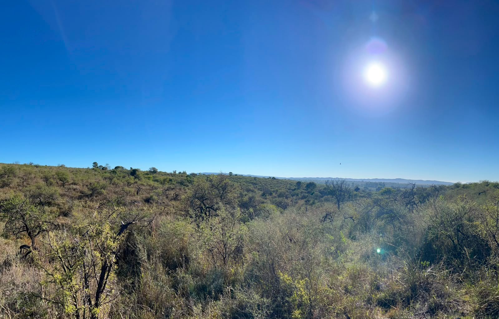 Paisajes de Villa Amancay